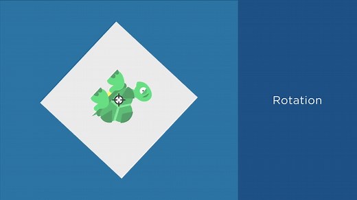 Changing the Transform Position with transform-origin