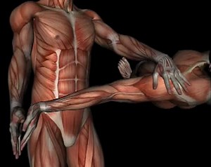 Orthopedic Test - UPPER LIMB TENSION TEST #2