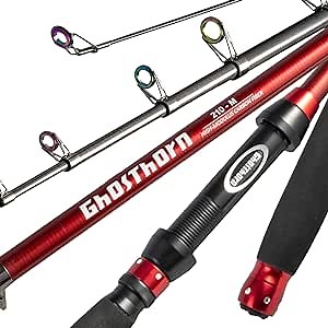 Amazon.com : Telescopic Fishing Rod Pole Collapsible 2.7M : Sports & Outdoors