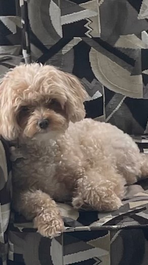 2.9K views · 273 reactions | Catherine Zeta-Jones on Reels | Facebook