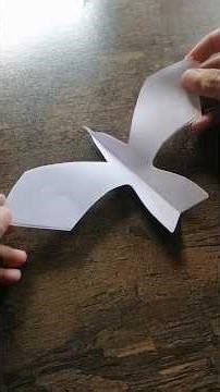 bird cut diy A4 paper #bird #papercut #Eagle