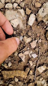 2.8K views · 62 reactions | An Amazing Herkimer Diamond Gem  Just...