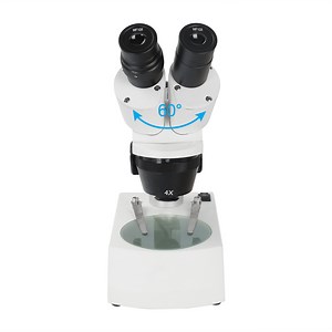 [Hot Item] LED Binocular Stereo Microscope 20X/40X with Wf10X (B2.214C)