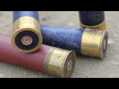 🔊 Free Shotgun Reloading & Shooting Sound Effect