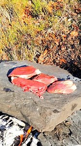 8.1K views · 59 reactions | Cooking Meat on a Hot Stone in the Wilderness #food #cooking #nature #Wilderness #wild | Simple Mountain Life | Facebook