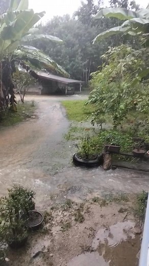 1.2K views | Pon Pon on Reels | Facebook