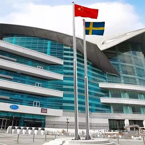 [Hot Item] Customized Mast Flagpoles Standing Floor Office Flagpole Pulley Flagstaff Flag Pole for Sale