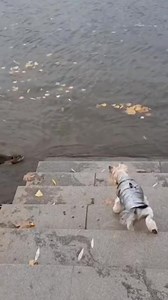 So who is afraid of whom? | Fan 0F Photograpy