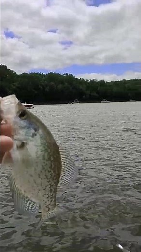 fishing at party cove