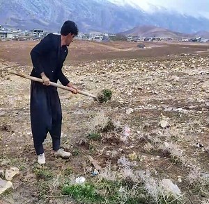 39K views · 469 reactions | Sahar and Rostam's attempt to deal with her ex husband's harassment | Family Cooking | Facebook