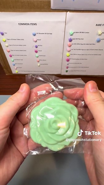 Pig Pig Stationary on TikTok