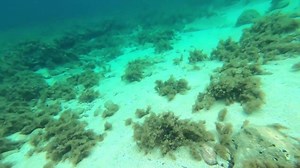 Ad Test GoPro hero 6 🤣 🤣 🤣 | Beamng Cars Mods