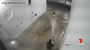 43M views · 55K reactions | It was made to clean cars and dogs, but this time, Parkland's Car & Dog Wash caught a naked man washing off on camera. CCTV shows the man receiving a hose down from a mate in one of the washing bays. www.7NEWS.com.au #7NEWS | 7NEWS Brisbane | Facebook