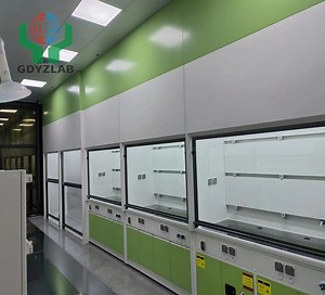 [Hot Item] Acid Resistant Chemical Fume Cupboards Fume Hoods Industrial Custom Size Fume Cabinets for Cleanroom School Hospital Lab