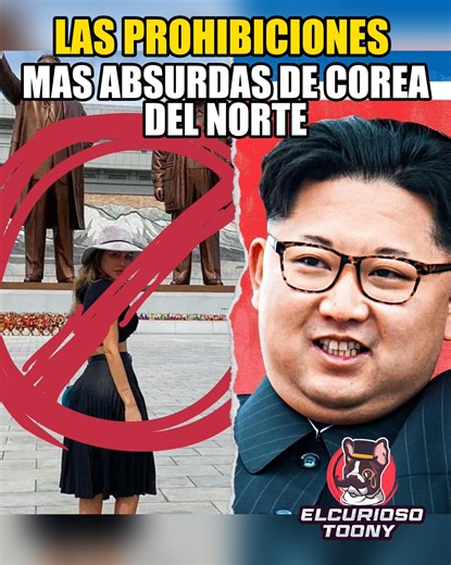 1.6K views · 46 reactions | Cosas realmente ABSURDAS 藍 | ELCURIOSOTOONY | Facebook