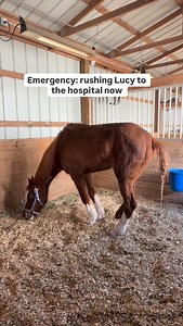 17K views · 17K reactions | EDIT: Please see the latest post for an...