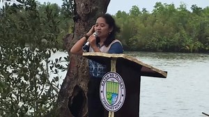 108K views · 1.8K reactions | Barangay San Nicolas sa bayan ng Talisay, bagong patok na pasyalan sa kanilang river cruise tourism. Tradisyon, pagkain, nature and adventure - biyaya ng malawak na mangrove area. 홏홖홧홖, 황홪홠홡홖홨홞홣 홣홖 홣홖황홞홣 홖홣활 활홖홣홙홖 홣활 홏홖홡홞홨홖홮! #SanNicolasMangroveEcotourismSite #TuklasinMoAngTalisay #LoveTalisay #LoveCamNorte #ExcitingBicol #LoveThePhilippines @followers | Jayson Mago San Fernando | Facebook