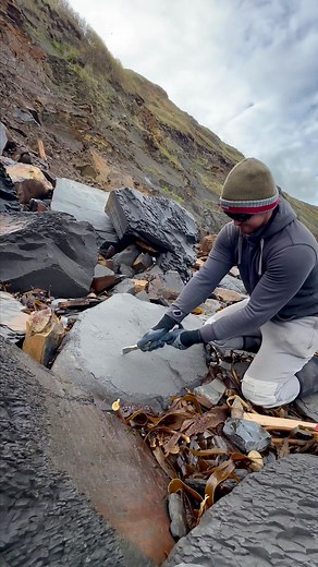 Discovering Jurassic Age Fossils at the Beach