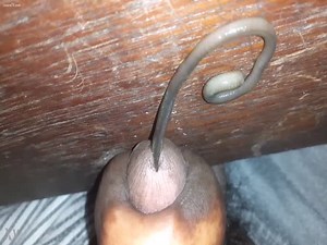 Insert worm in my dick bladder