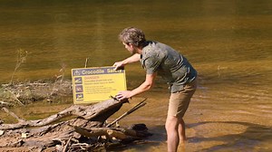 1.2M views · 32K reactions | Join us for the wedding event of the year! From the makers of The Sapphires comes TOP END WEDDING, a heartwarming romantic comedy set against the splendour of the Northern Territory. Say ‘I do’ on May 2 | Universal Pictures | Facebook