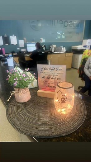 Our Sweet Baby Girl Bree Bree has crossed over the rainbow 🌈 bridge!!! In Loving Memory of Our sweet Bree Bree, our tiny Yorkshire terrier with the biggest heart, filled our lives for 10 beautiful years. She was our walking partner in the park, our co-pilot on car rides, and our joyful companion in every family gathering. Bree Bree never wanted to miss a moment of togetherness — if the family was in one room, she was there, her presence making the moment feel whole. She comforted us without wor