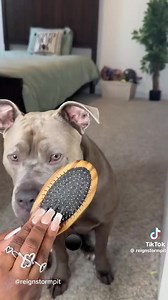 11K views · 633 reactions | This has to be the luckiest dog alive.  | Moor Info | Facebook