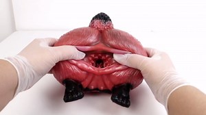 Masturbator Animal Buttock 3D Vagina Textured Sex Toy for Adult Men,Monster Male Masturbator with 3D Channel Design Adult Sex Doll,Soft Silicone Pocket Pussy Male Penis Stimulator Device