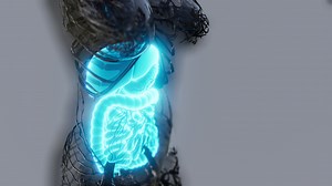 transparent human body with visible digestive system