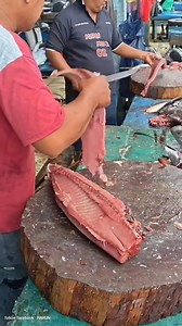 Tuna butchering skill using a sharp cleaver #Cuttingtuna #Fishcutting #SkillCutting #seafood #CookingVideo #Fishing #FishMarket #reels #fyp #publik #USAfood #VideoViral | Harun