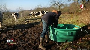 "L'écologie intégrale" d'un paysan catholique "métayer de Dieu" - TV.catholique.fr