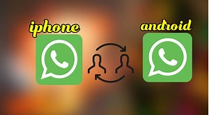 13K views · 257 reactions | ഒരു ടാറ്റ നഷ്ടപ്പെടാതെ ആൻഡ് ഇന്ന് ഐ...