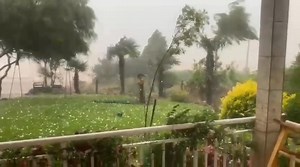 186K views · 2.3K reactions |  *Rádio Web Região Oeste Santa Maria...