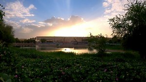 Ruwais Pulse on Reels