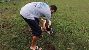 4.7K views · 145 reactions | Blake's Exotic Animal Ranch on Reels | Facebook