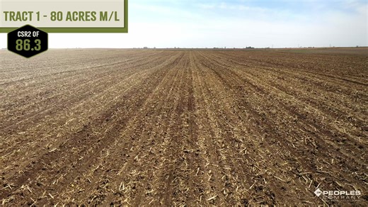 UPCOMING FARMLAND AUCTION | 160 Acres M/L in Greene County, Iowa OFFERED AS TWO 80-ACRE TRACTS Thursday, June 26, 2025 at 10:00 AM Auction Location: Rippey Public Library in Rippey, Iowa, 50235 Contact #PeoplesCompany Licensee Matt Adams or click the link below for more information. Listing 18338 | https://bit.ly/4j76TLr | Peoples Company