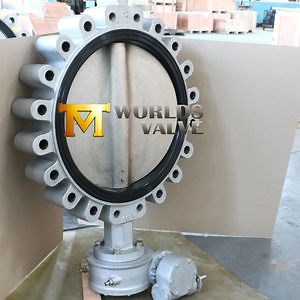 [Hot Item] Lug Butterfly Valves Full Bore