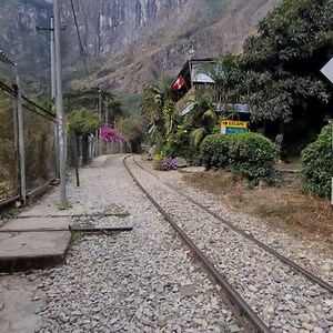 Gopher Digging a Hole | Daily US Buzz