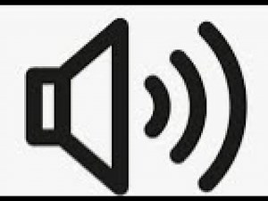 hey wtf!-SOUND EFFECT