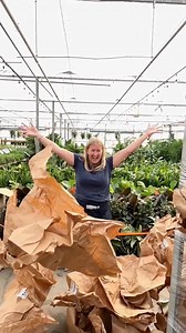 Our HUGE tropical shipment is here. We’re working hard to get them out on the floor — keep an eye on social. We’ll be posting soon. #sherwoodpark #SalisburyGreenhouse | Salisbury Greenhouse
