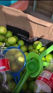 22 reactions · 4 comments | When life gives you lemons (limes) make lemonade (limes)  homemade, hand squeezed, fresh lemonade at the Cave. | Animal Flower Cave | Facebook