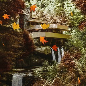 When architecture and nature meet. | I am an Architect