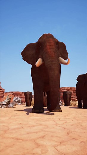 Do Elephants Really Mourn Their Dead 😢 | zack d. films