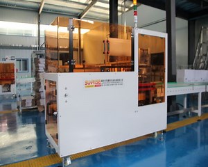 [Hot Item] Automatic Carton Packer Packing Machine with Case Box Sealing Erecting