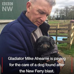 Get well soon Charlie 🐶 | BBC Manchester