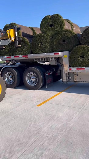 Sod day is always a big day & fast paced. Sod is cut the evening before and in order for it to survive it needs to be installed same day…especially in this heat & humidity. Our crew of 5 guys installed 25,000 sq ft big rolls 42” x 100’ each in 10 hours…70 rolls. Hats off to these hard working young men. Dylan Van Der Brink Alan Van Der Brink Ike Van Der Brink Noah Leusink #sod #landscape #irrigation #hardwork Olson Sod Farms LLC #DogDaysOfSummer #makinggrassgreatagain #instantgreen #bklandscape 