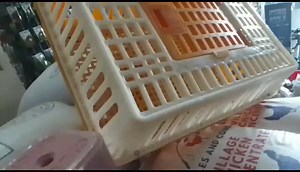 CHICKEN CARRIERS. PROMOTION PRICE K650.00 CALL: 097436734.0966252345. SUPPORTING EVERY FARMER. | Incubator Giants Technologies and Agro Services