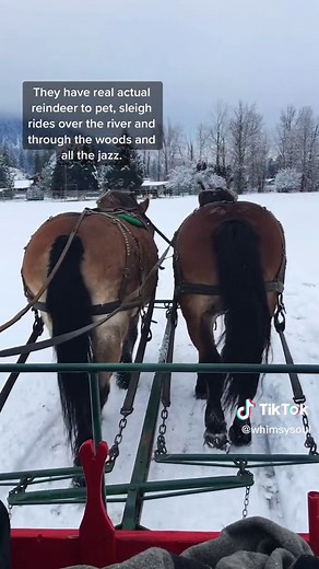 Experience Christmas Magic in Leavenworth, Washington