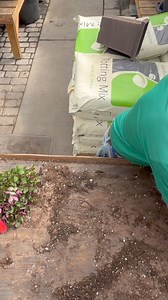 Planting a Stunning fall combo arrangement with Rockin Kev!! Sign up to make your own wonderful fall combo below! This combo will last vibrantly until first hard frost! Just because summer is coming to an end does not mean you cannot continue the fun of flowers! Sign up here: https://www.eventbrite.com/e/fall-back-fall-combo-planter-workshop-tickets-980498496397?utm_experiment=test_share_listing&aff=ebdsshios | Colonial Gardens