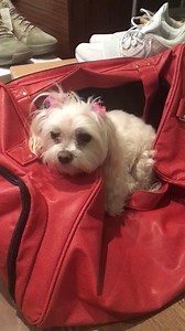 2.6K views · 283 reactions | Tomorrow is move in day at USC and there are some very sad faces at our house! | Kym Douglas | Facebook