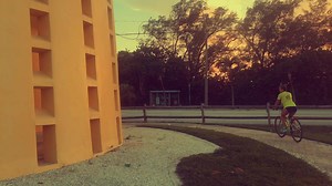 🚴‍♀️🌴☀️ Explore your city by bicycle #miamibikescene | Miami Bike Scene